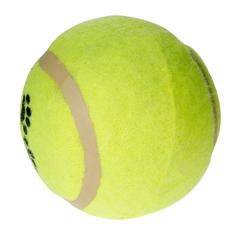 لعبة كرة تنس للكلاب ديجرز، كبيرة (6.35 سم)