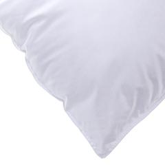 Welspun Active Anti-Allergen Pillow, P-NC20 (50 x 75 cm)