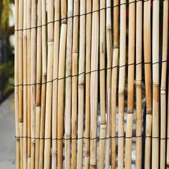 Tildenet Bamboo Stick Screening (90 x 380 cm)