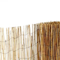 Tildenet Reed Screening (180 x 380 cm)