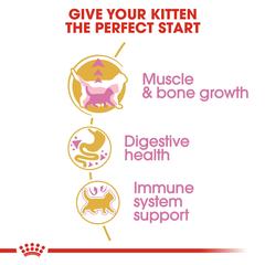 Royal Canin Feline Breed Nutrition British Shorthair Dry Cat Food (Kitten, 2 kg)
