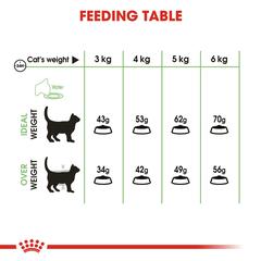 طعام جاف للقطط للعناية بالجهاز الهضمي رويال كانين فيلاين كير نيوتريشن (قطط بالغة، 2 كجم)