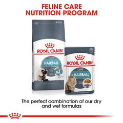 Royal Canin Feline Care Nutrition Hairball Dry Cat Food (Adult Cats, 10 kg)
