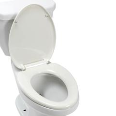 Bold Reno Close Coupled Toilet (40 x 36 x 70 cm, White)