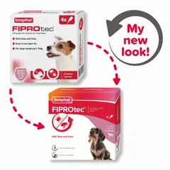 Beaphar FIPROtec Spot-On Flea Treatment Solution for Small Dog (4 pcs)