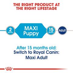 Royal Canin Size Health Nutrition Maxi Puppy Wet Dog Food (Gravy, Puppy, 140 g)