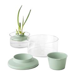 Brabantia Tasty+ Herbs & Vegetable Regrow Kit (18 x 10 cm)