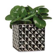 Scheurich Crystal Ceramic Plant Cover Pot (15 cm)