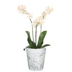 Scheurich Ceramic Plant Cover Pot (15 cm)