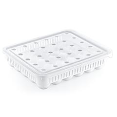 Hobby Life 30 Slots Egg Storage Box (27.8 x 33.5 x 7.3 cm)