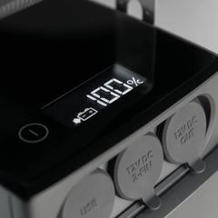 Dometic Lithium Iron Phosphate Portable Battery, PLB40 (40 Ah)