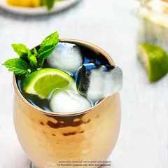 Raj Copper Beverage Glass