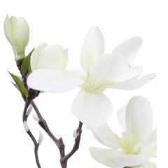 Atmosphera Artificial Decorative Magnolia Plant