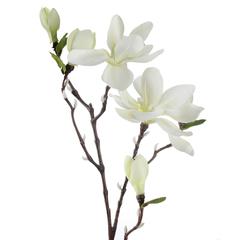 Atmosphera Artificial Decorative Magnolia Plant