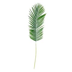 Atmosphera Artificial Decorative Palm Leaf