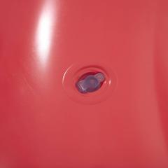 Bestway Scentsation Raspberry Swim Ring (119 cm)
