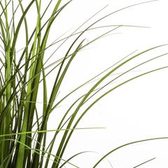 Atmosphera Polyethylene Artificial Grass Bunch W/Pot (58 cm)