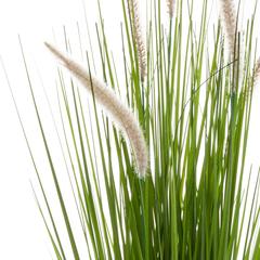Atmosphera Polyethylene Artificial Cat Tails & Grass Bunch (70 cm)