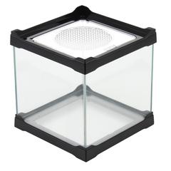 Tzong Multifunction Aquarium & Pet Case (16 cm, Assorted)