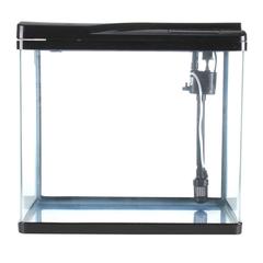 Wanglong Fish Tank, Rq500 (70 L)