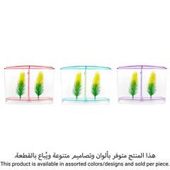 حوض سمك بيتا تشيكوس