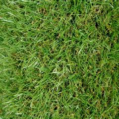 Dennis Artificial Grass ( 1 x 4 m, 20 mm)