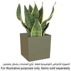 Artevasi Oslo Plant Pot (14 cm)