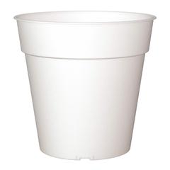 Artevasi Madagascar Plastic Orchid Pot (17 cm)