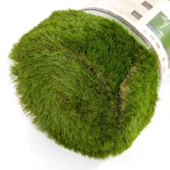 عشب اصطناعي أوليف (1 × 4 متر، 45 ملم)