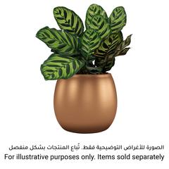 Artevasi Hera Ceramic Plant Pot (18 cm)