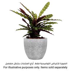 Artevasi Hestia Ceramic Plant Pot (20 cm)