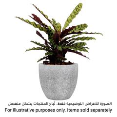 Artevasi Hestia Ceramic Plant Pot (28 cm)