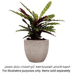 Artevasi Hestia Ceramic Plant Pot (28 cm)