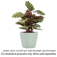 Artevasi Nubia Ceramic Plant Pot (12 cm)