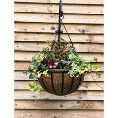 Tildenet Cambridge Strip Wire Hanging Basket W/Coco Liner (30 cm)