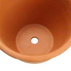 Glazed Terracotta Sparta Omega Plant Pot Generic (26 x 26 x 20 cm, Small)