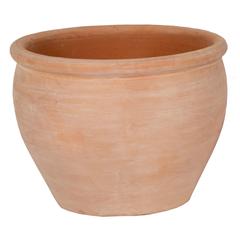 Glazed Terracotta Whitewash Belly Rim Plant Pot Generic (30 x 30 x 24 cm, Medium)