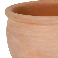 Glazed Terracotta Whitewash Belly Rim Plant Pot Generic (30 x 30 x 24 cm, Medium)
