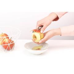 Brabantia Profile Food Peeler (20 x 1.5 x 2 cm)