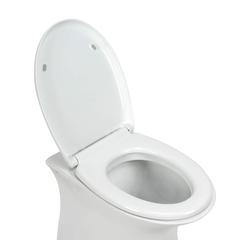 Bold Altinum Ceramic & Plastic Water Closet W/Seat Cover (6 x 37 x 44 cm)