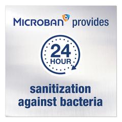 Microban Disinfecting Multipurpose Cleaner Spray (750 ml)