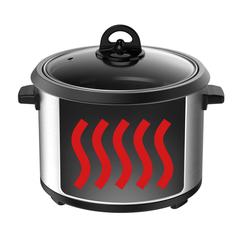 Moulinex Corded Rice Cooker, MK123D27-E (1.7 L, 800 W)