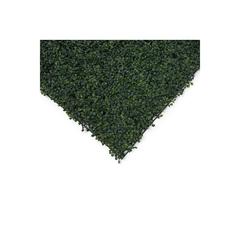 Artificial Grass Wall Panel (40 x 60 cm, Green)