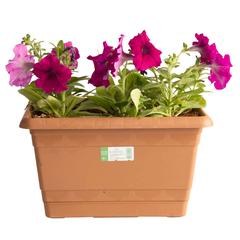 Petunia Purple Planter (29 cm)