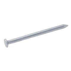 Diall Galvanised Carbon Steel Round Wire Nail Pack (2.4 x 40 mm)