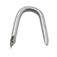 Diall Galvanised Carbon Steel Wire Staples Pack (1.5 x 14 mm)