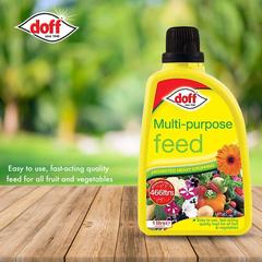 Doff Multi Purpose Feed Concentrate (1 L)