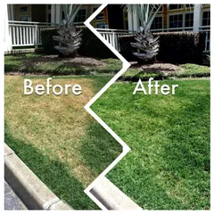 Doff 5-in-1 Lawn Fix (2.25 kg)
