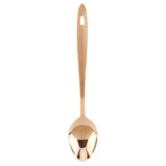 Pearl Stainless Steel Basting Spoon