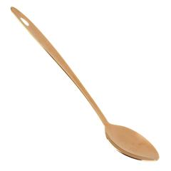 Pearl Stainless Steel Basting Spoon